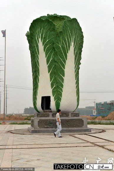 巨型“白菜”雕塑亮相聊城 高9米造型逼真(图)_山东频道_凤凰网