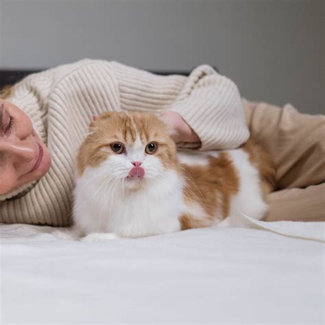 Vet Near Me Napa, CA 94558 | Silverado Veterinary Hospital