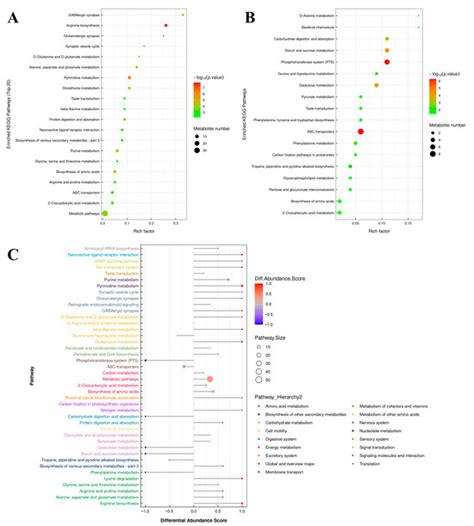 Multi-Omics Strategies to Investigate the Biodegradation of Hexahydro-1 ...