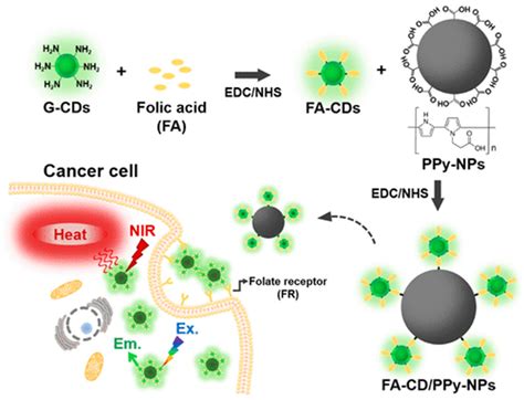 The Application of Carbon Nanomaterials in Sensing, Imaging, Drug ...