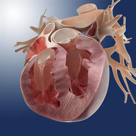 Image result for Heart with Name Using Python