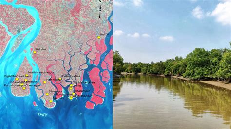 Salt-tolerant microbes could improve agriculture in the Indian ...