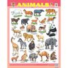 ANIMALS CHART SIZE 55 X 70 CMS