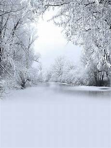 Snow Backdrop by 8x8ft Winter Snow Tree Photography Backgrounds Portable Snow Backdrop