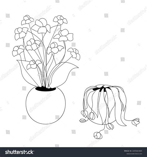 Wilting Flower Drawing