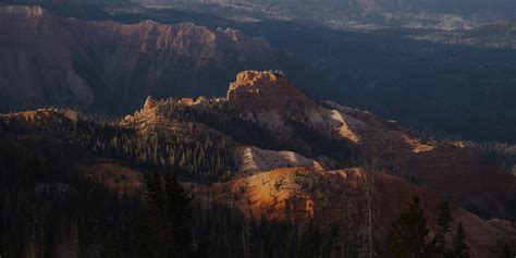 Image result for Canvas Cutter