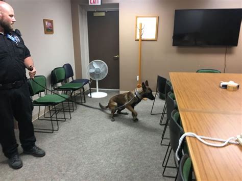 K-9 Hugo begins work at Clarinda Correctional Facility | News | kmaland.com