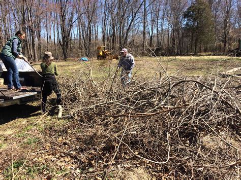 Nelson : Nellysford : Spruce Creek Park Volunteer Work Day - Blue Ridge ...