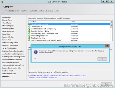Download SQL Server 2016 Developer 的图像结果