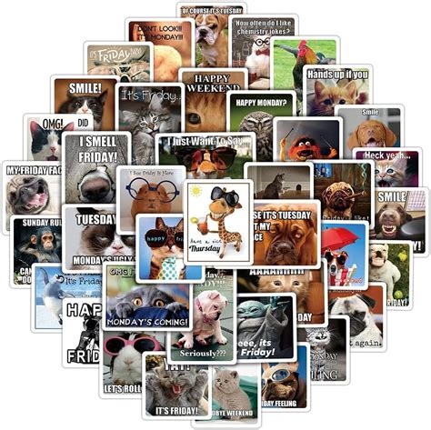 Buy Happy Friday Weekend Stickers for Laptop, 50pcs Funny Cat Pet ...
