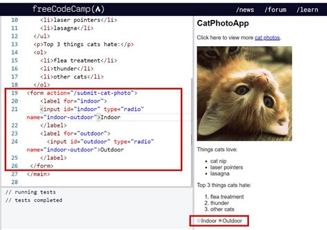 Image result for HTML Radio Buttons On Click
