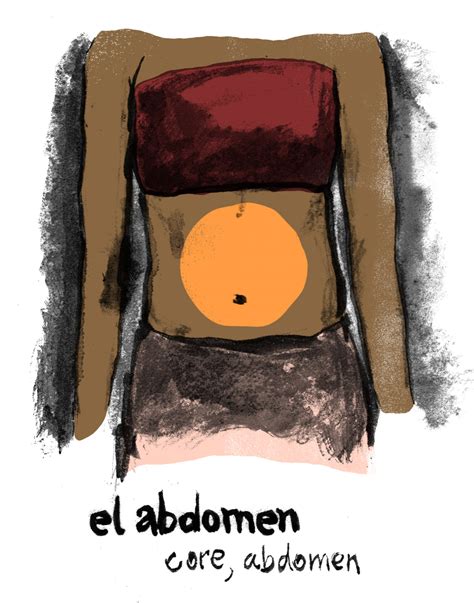 Abdomen In Spanish Language at Gilbert Strothers blog