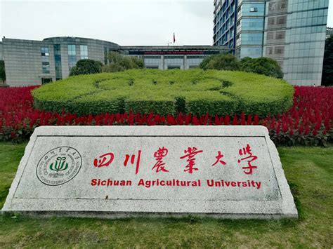 2022年四川农业大学农业硕士（农村发展）招生指南 - 知乎