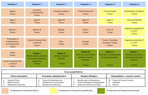 Image result for Como Crear Modulo