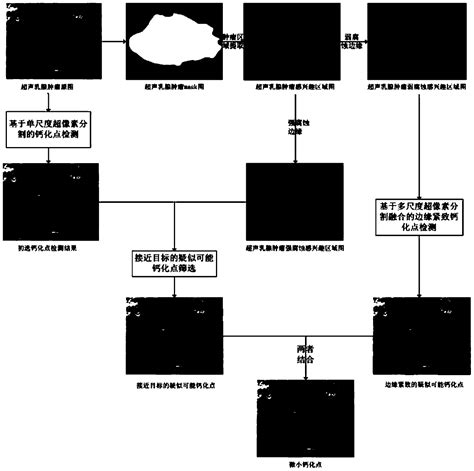 Micro calcification point automatic detection method based on ultrasonic breast tumor image ...