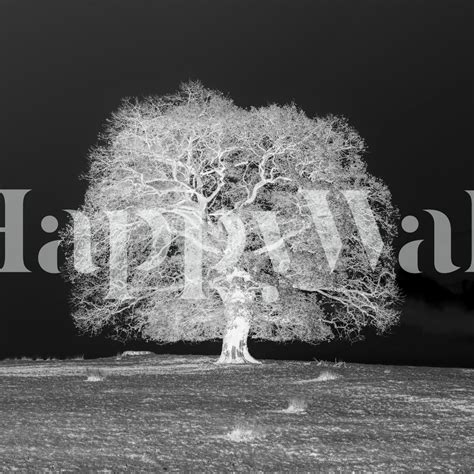 Silent Sentinel Wallpaper - happywall.com
