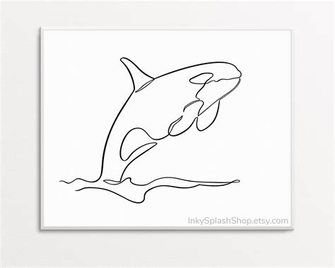 Killer Whale Drawing