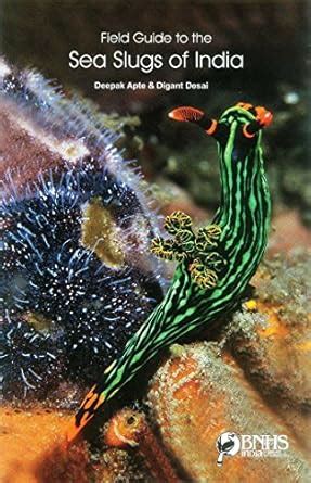 Buy Sea Slugs of India Book Online at Low Prices in India | Sea Slugs ...