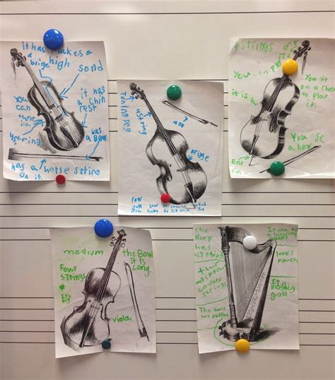 Image result for Orchestral Stringed Instruments