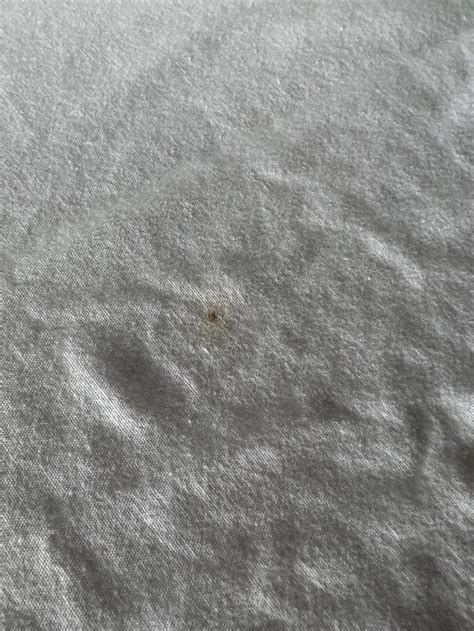 BOZEMAN INN - Hotel Reviews, Photos, Rate Comparison - Tripadvisor