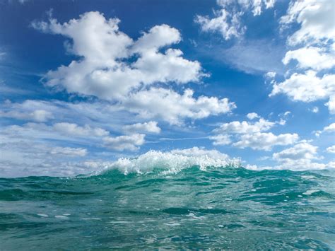 Image result for Ocean Sound Machine