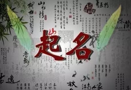 周易起名取名大师软件下载安装-周易起名取名大师手机版下载v1.3.0 安卓版-安粉丝手游网