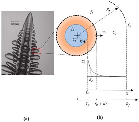 Prediction of the Secondary Arms Spacing Based on Dendrite Tip Kinetics ...