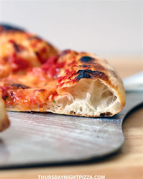 sourdough discard pizza dough overnight