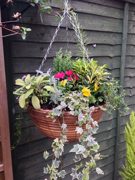 Fantastic Autumn Winter Flowers For Hanging Baskets Plants On Walls Indoors