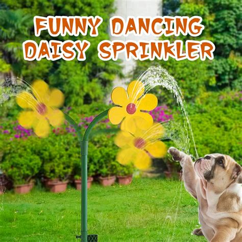 Crazy Daisy Sprinkler | asghedom.com