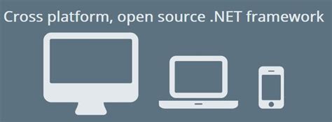 Mono .Net On Windows 的图像结果