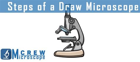 How to Draw a Microscope Easy 的图像结果