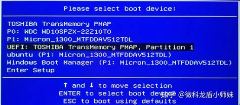 OpenBIOS 的图像结果
