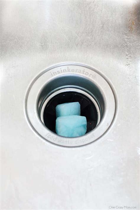 Image result for Garbage Container Cleaner