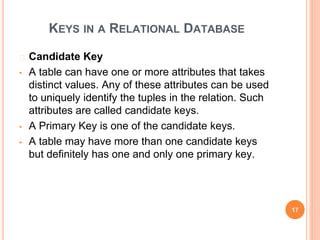 Image result for Candidate key Database Concepts