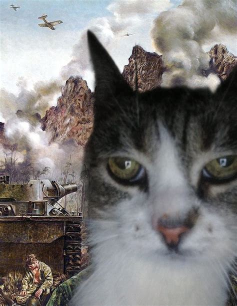 Thousand-Yard Stare: Image Gallery | Know Your Meme