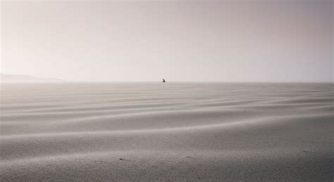 Figure of Merit → Term