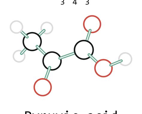 Pyruvate Structure Pyruvate Carbon | C13H12O12 | CID 129644007