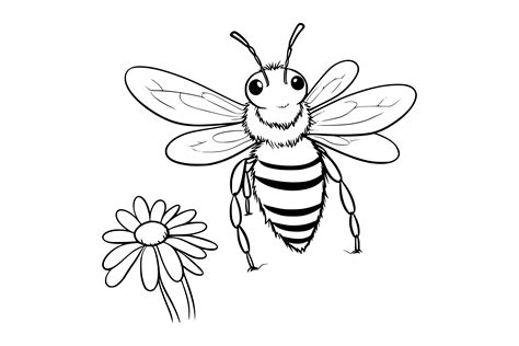 Bee Coloring Pages