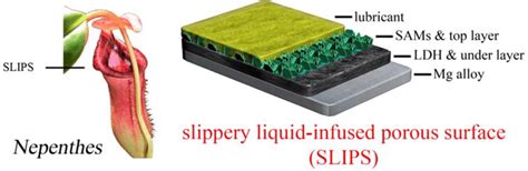 Image result for Streamable Slips