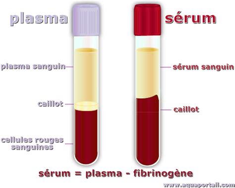 Sérum sanguin : définition et explications
