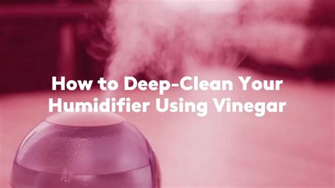 Image result for Using Vinegar to Clean Humidifier