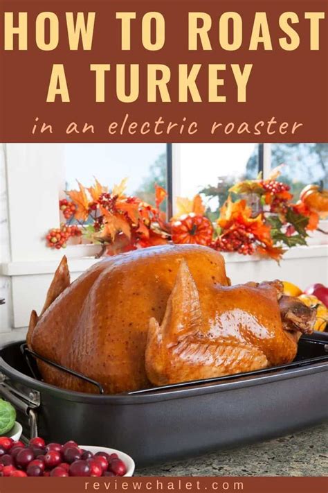 How to Cook a Turkey in a Roaster 的图像结果
