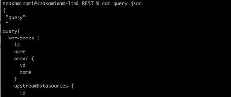 Tableau Metadata API 的图像结果