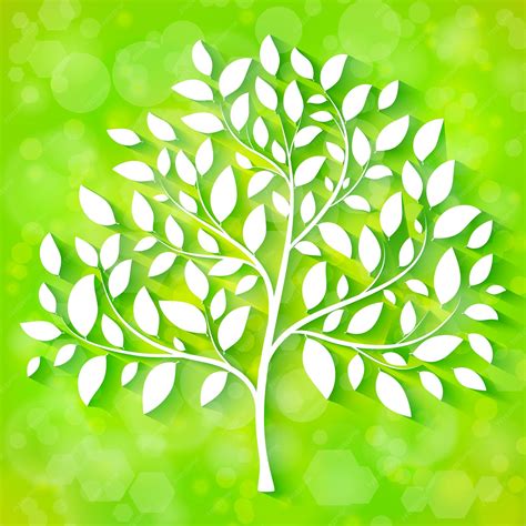Tree Vector 的图像结果