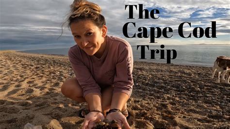 Cape Cod Vlog 的图像结果