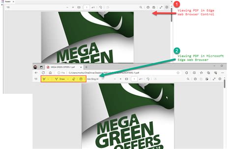 MS Access Edge Browser Control VBA 的图像结果