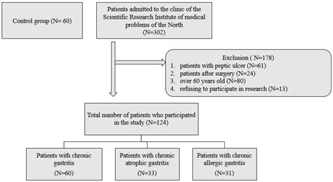 The Role of Immunoglobulin G (IgG), IgA and IgE—Antibodies against Helicobacter pylori in the ...