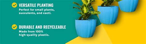 Botanic Bliss Terracotta Plastic Plant Pots with Saucer | 8" inch ...