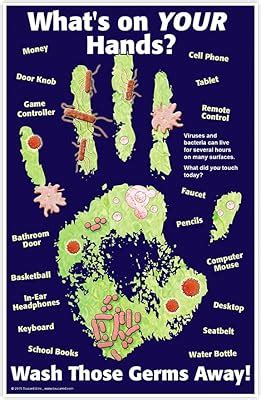 ToucanEd What's on Your Hands? Poster - hygiene poster - wash India | Ubuy